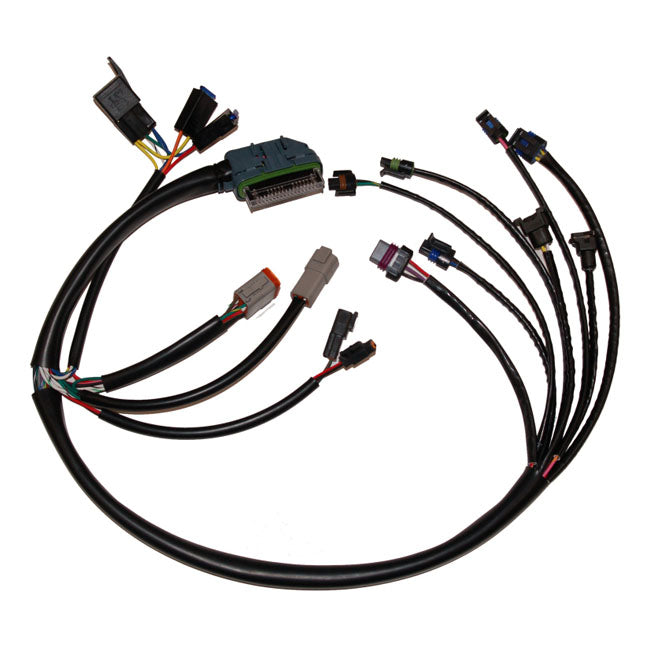 OEM Style Complete EFI Harness