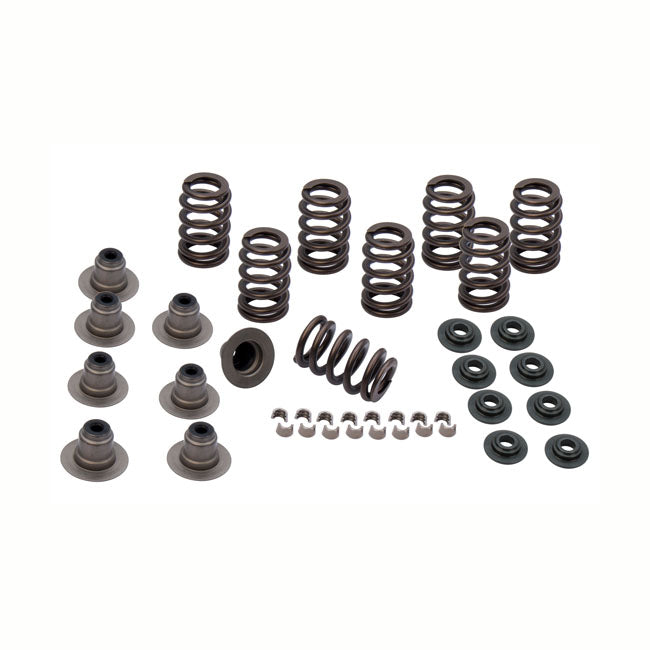 M8 Valve Spring Kit Steel .605" Valve Lift