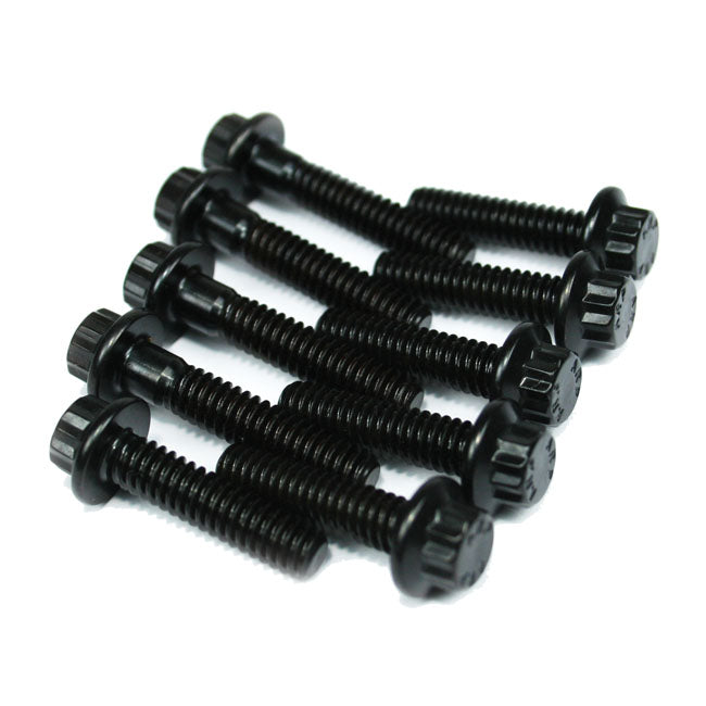 Oil Pump / Cam Support Plate Fastener Kit