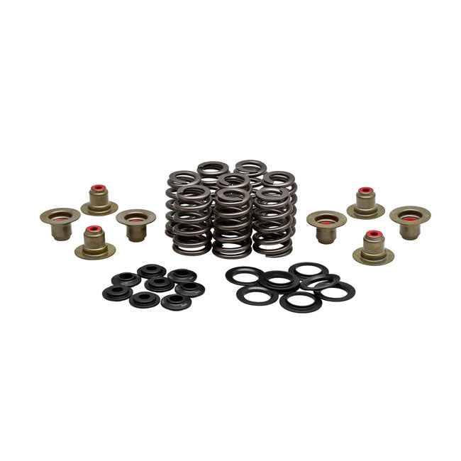 High Lift Valve Spring Kit Steel - .550 Inch