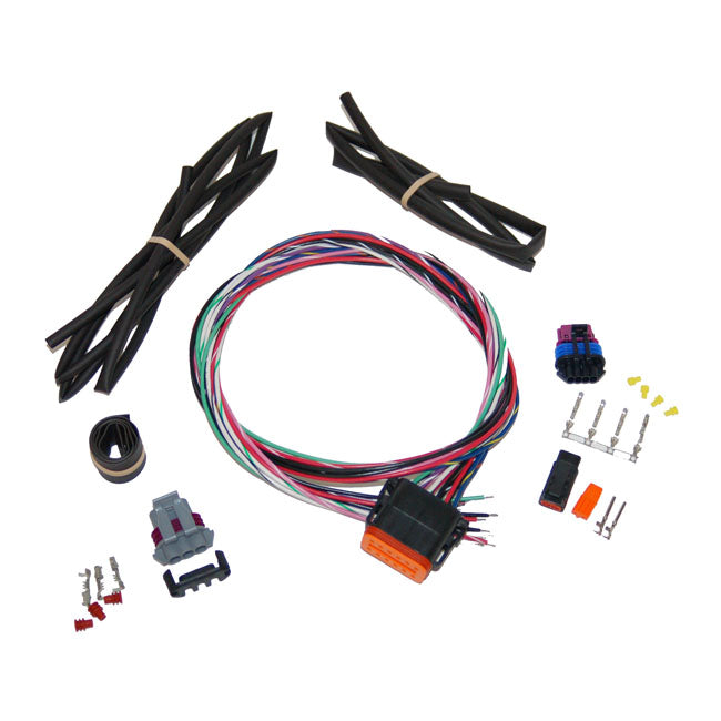 Stand Alone Ignition Harness