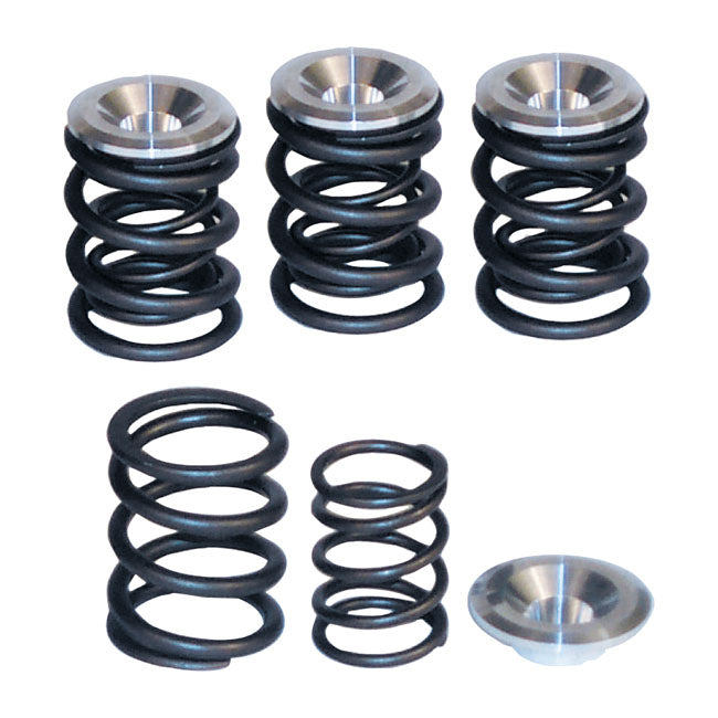 Valve Spring Kit Standard To .550" Lift