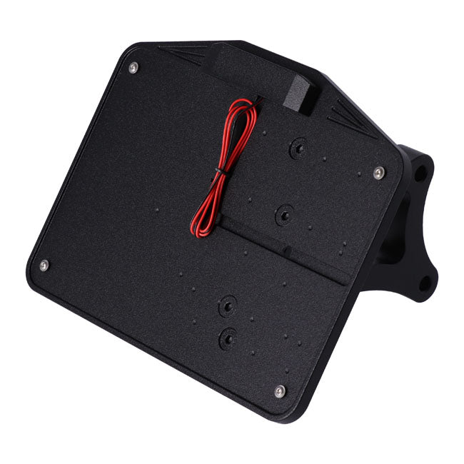 License Plate Bracket Kit Black For 21-22 RH1250S Sportster S