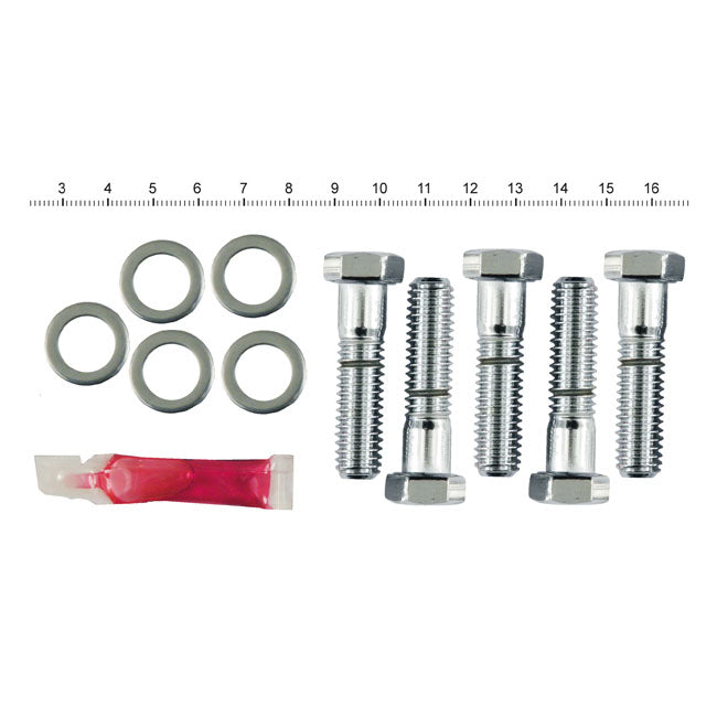 Pulley Bolt Kit Chrome For PRE-2001 HUBS