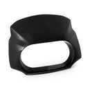 Aggressor Headlamp Fairing Mask