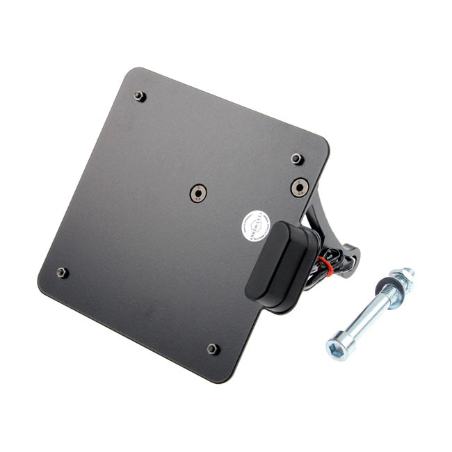 Side Mount License Plate Bracket Italy For 02-17 V-Rod NU