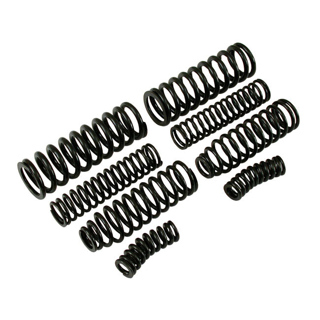 Springer Replacement Spring Set Black Painted - Pack Of 8