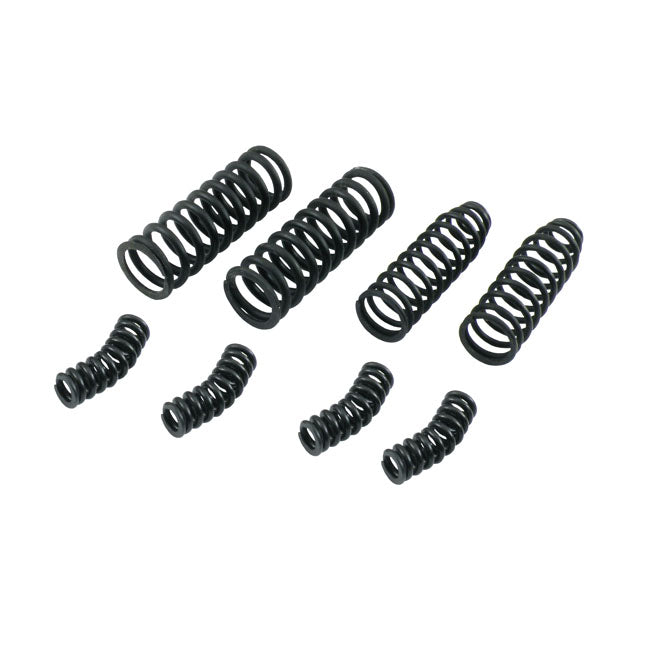Fork Spring Set Outer / Inner Kit Black Painted - 8 Pieces