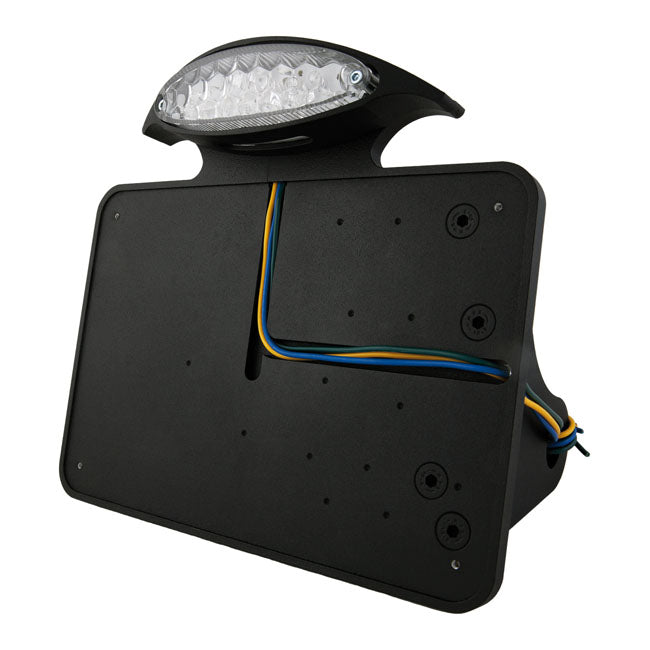 License Plate Bracket Kit Black For 84-07 Softail NU With LED Mini Tail Light