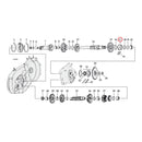 Bearing Race Mainshaft For E1984 XL Only