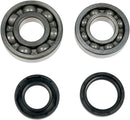 Crankshaft Bearing And Seal Kit | Vendor no: 24-1043