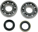 Crankshaft Bearing And Seal Kit | Vendor no: 24-1045
