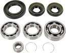 Bearing / Seal Kit | Vendor no: 25-2001