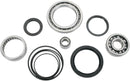 Bearing / Seal Kit | Vendor no: 252033