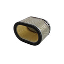 Standard Air Filter For Cagiva - ARF174