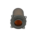 Standard Air Filter For Suzuki - ARF190