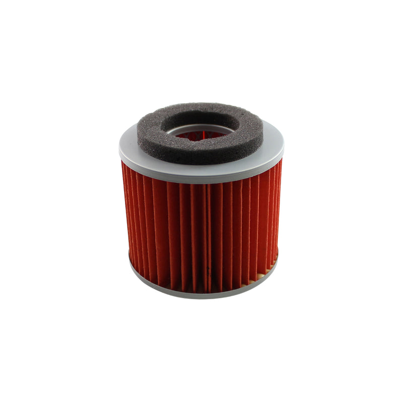 Standard Air Filter For Yamaha - ARF250