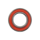 Double Rubber Sealed Bearing - 6006DDU