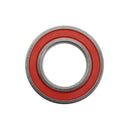 Double Rubber Sealed Bearing - 6007DDU