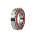 Double Rubber Sealed Bearing - 6032DDU