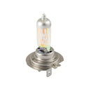 H7 12V 100W Standard White Bulb