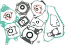 Complete Gasket And Oil Seal Kit | Vendor no: 811252