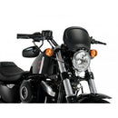 Retro Fly Screen Carbon Look For Harley Davidson (17-20)