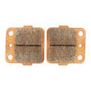 Sinter Disc Pad Rear -