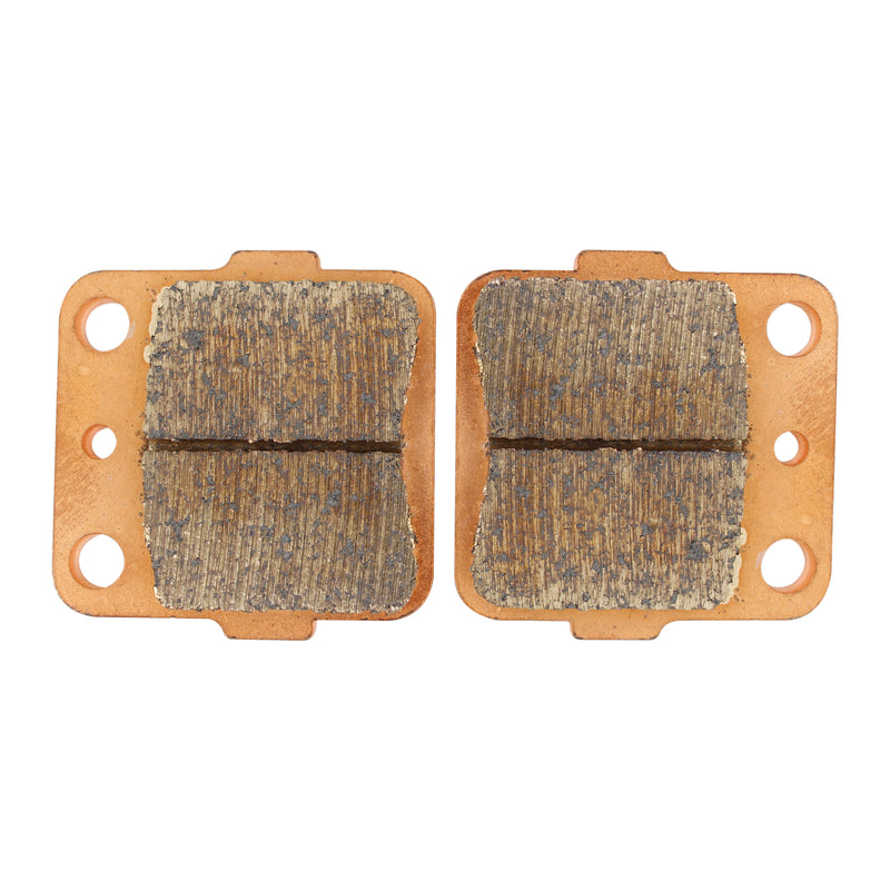 Sinter Disc Pad Rear -