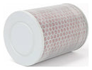 Standard Air Filter For Honda - ARF112