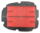 Standard Air Filter For Honda - ARF120