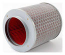 Standard Air Filter For Honda - ARF128