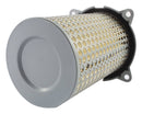 Standard Air Filter For Suzuki - ARF166