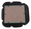 Standard Air Filter For Suzuki - ARF194