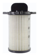 Standard Air Filter For Suzuki - ARF200