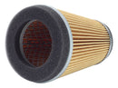 Standard Air Filter For Yamaha - ARF210