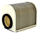 Standard Air Filter For Yamaha - ARF222