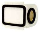 Standard Air Filter For Yamaha - ARF222