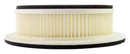 Standard Air Filter For Yamaha - ARF226