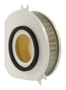 Standard Air Filter For Yamaha - ARF236
