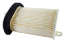 Standard Air Filter For Yamaha - ARF246