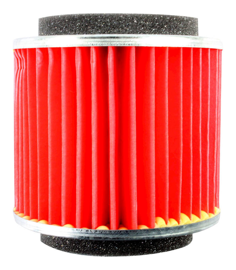 Standard Air Filter For Yamaha - ARF250