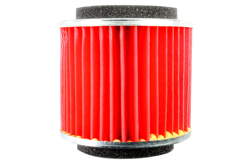 Standard Air Filter For Yamaha - ARF250