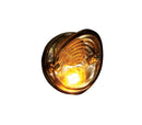 Flare 2 LED Rear Light With Integral Indicator