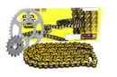 Triumph 800 Bonneville / T100 02-06 Chain & Sprocket Kit Gold